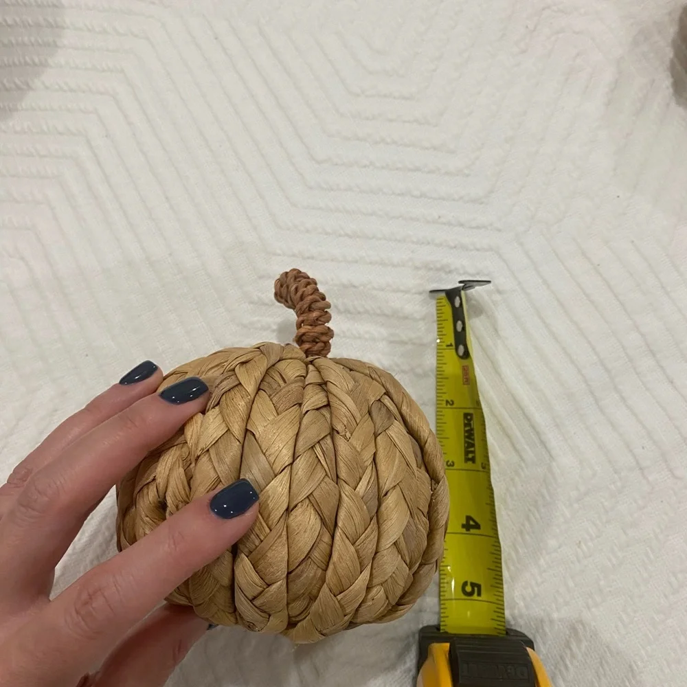 Target wicked pumpkins (4)